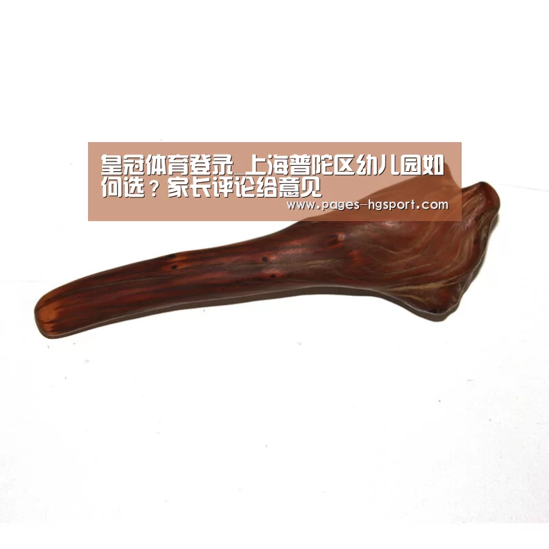 皇冠体育登录_上海普陀区幼儿园如何选?家长评论给意见(图4) 皇冠入口